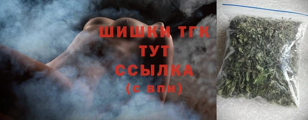 PSILOCYBIN Горно-Алтайск