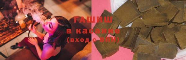гидра Горнозаводск