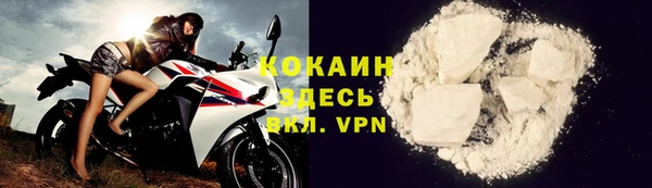 гашик Михайловка