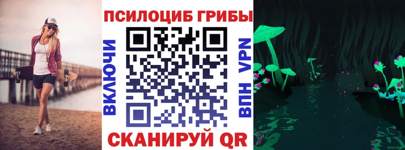 где продают   Обоянь  Галлюциногенные грибы Cubensis 